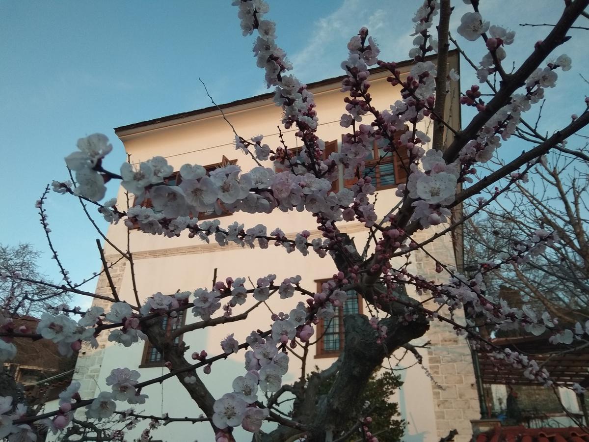 Archontiko Kantartzi 波尔塔里亚 外观 照片